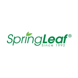 SpringLeaf – Shop at B2S, where inspiration begins.