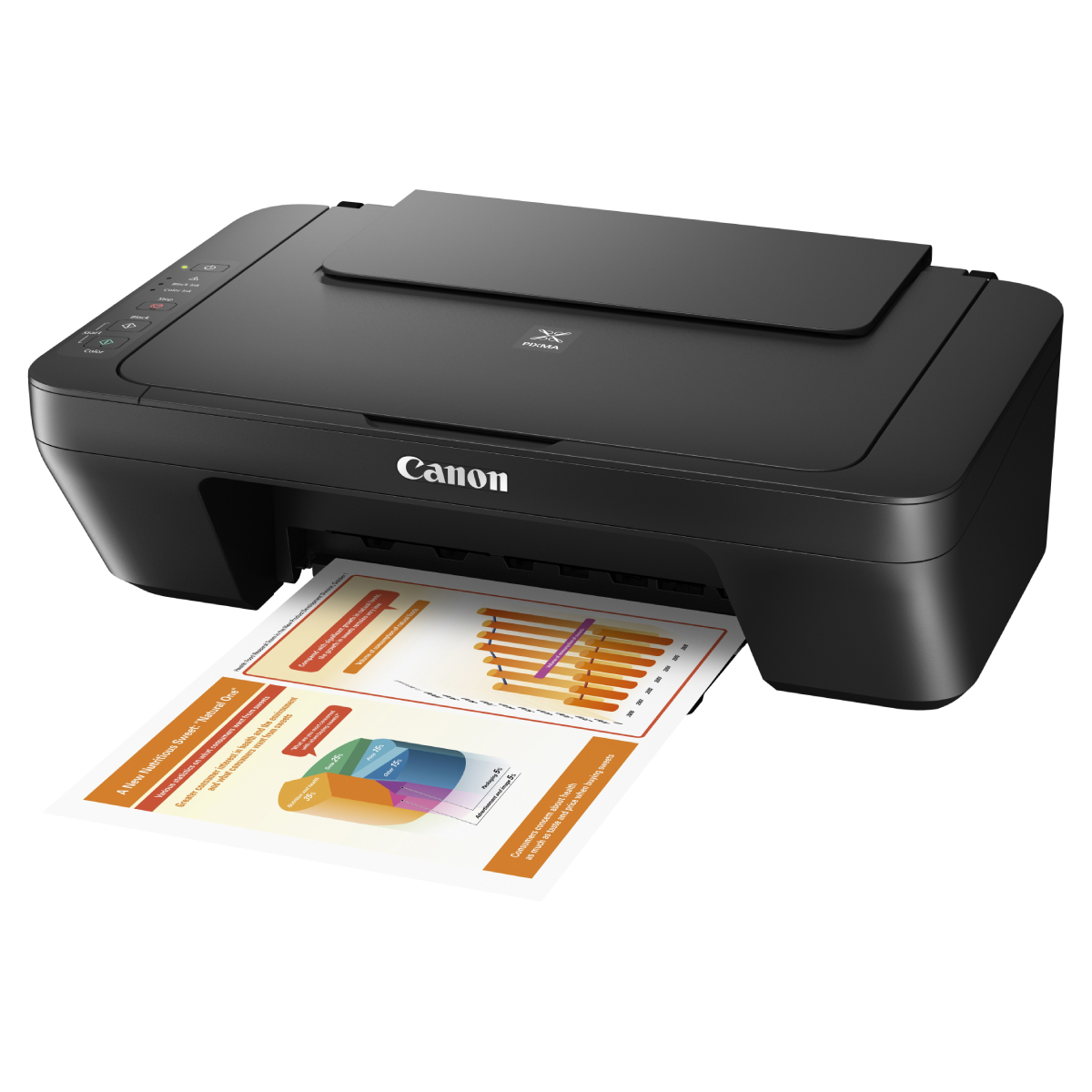 Принтер Canon Pixma Mg2545s Купить
