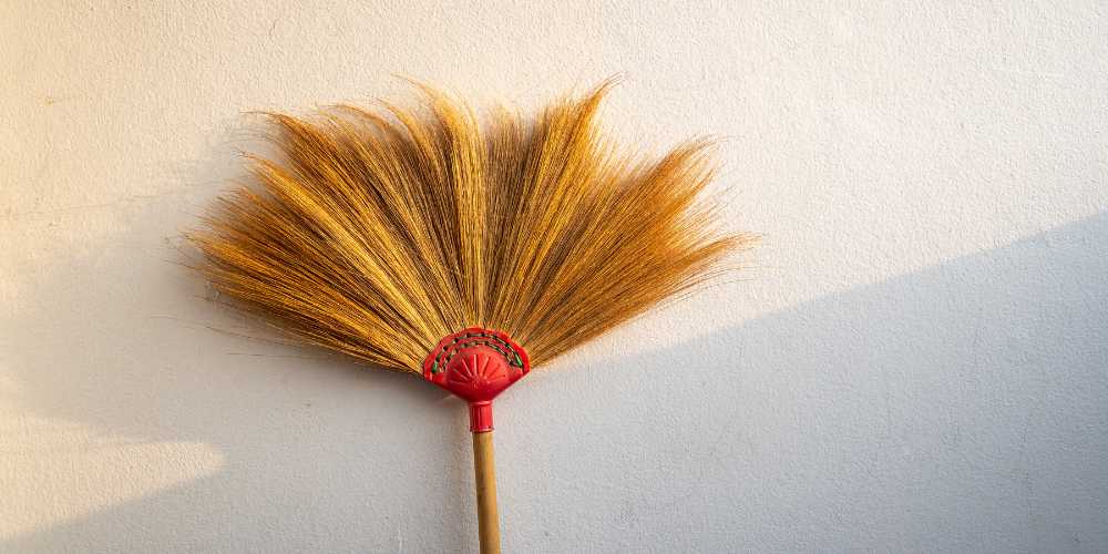 Grass Broom