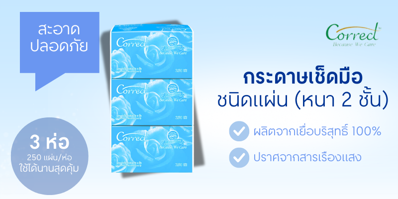 CORRECT Paper Hand Towel 2-Ply 250 Sheets