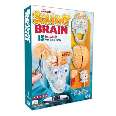 AMAZING SQUISHY BRAIN (SMARTLAB) | B2S