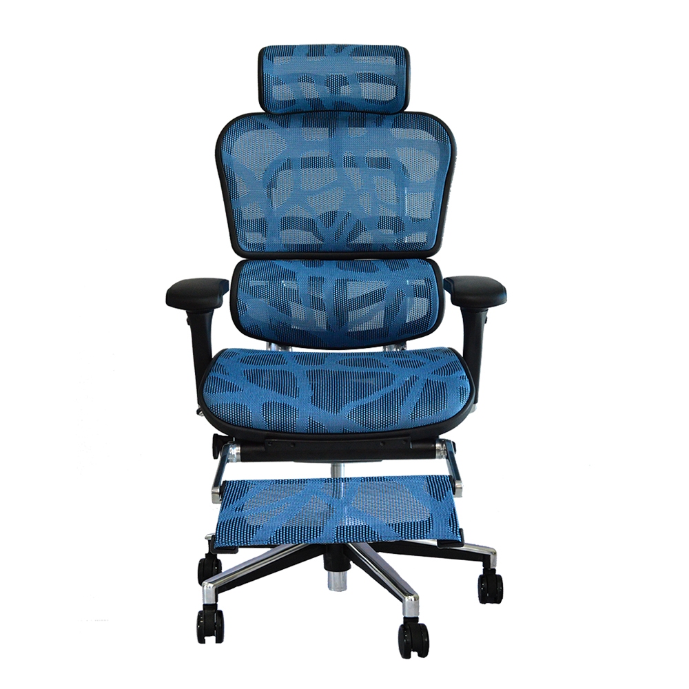 DF Prochair Ergonomic Chair Ergo2 Plus Series blue | OfficeMate