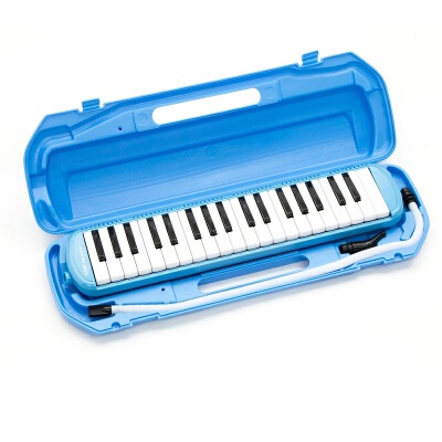 Melodeon instrument store