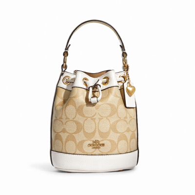 Coach Micro Ally Bucket Bag