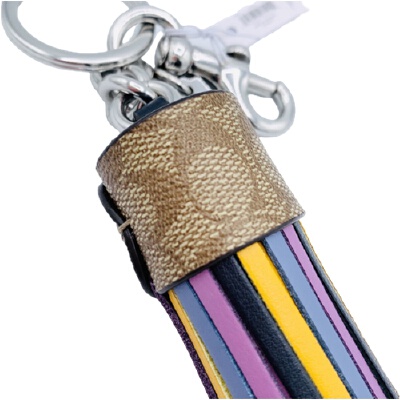 Coach on sale tassel keychain