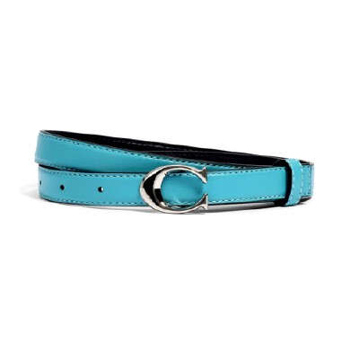 Coach clearance belt buckle