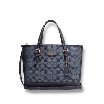 Molly tote online coach