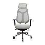Furradec iMove-B Gray Ergonomic Chair