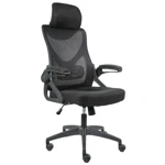 Furradec Friendly Black Ergonomic Chair