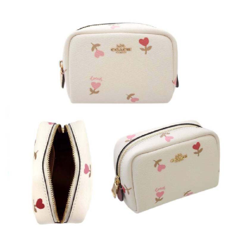 Mini boxy discount cosmetic case coach